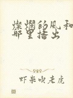 灿烂的风和海在哪里播出