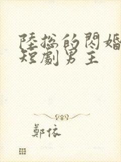 陆总的闪婚甜妻短剧男主