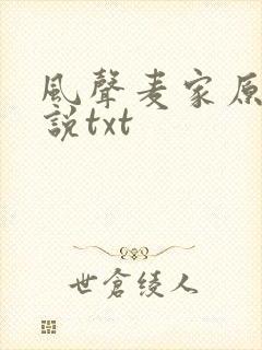 风声麦家原著小说txt