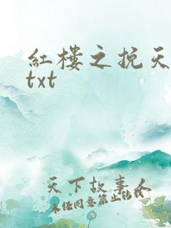 红楼之挽天倾 txt