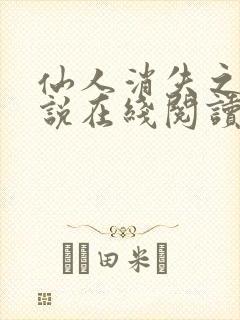 仙人消失之后小说在线阅读