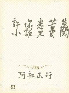 许你光芒万丈好小说免费阅读全文