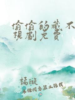 偷偷的藏不住电视剧免费