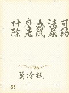 什么办法可以去除老鼠尿的骚味