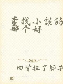查找小说的软件哪个好