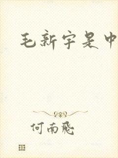 毛新宇是中将吗