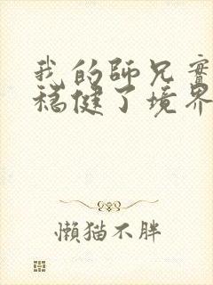 我的师兄实在太稳健了境界划分