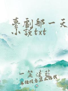 台剧那一天原著小说txt