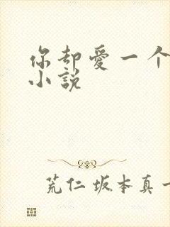 你却爱一个烧饼小说