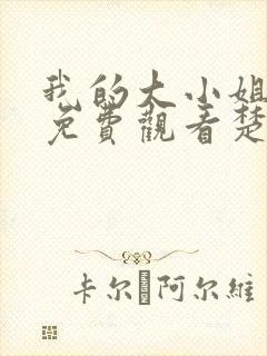 我的大小姐老婆免费观看楚辰全集