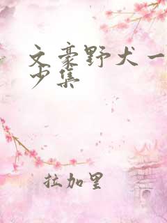 文豪野犬一季多少集