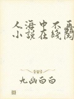 人海中不再相见小说在线阅读