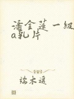 潘金莲一级淫片a乳片