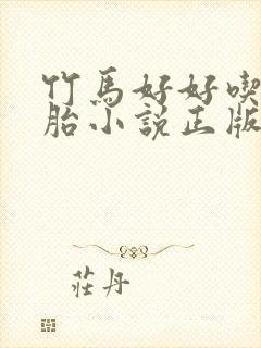 竹马好好吃双胞胎小说正版阅读