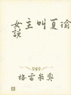 女主叫夏瑜的小说