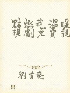 点燃我温暖你电视剧免费观看在线