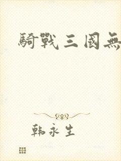 骑战三国无限版