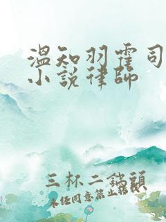 温知羽霍司砚的小说律师