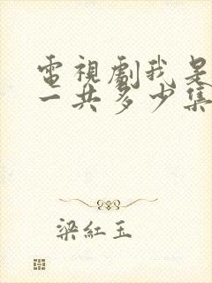 电视剧我是刑警一共多少集