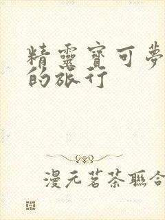 精灵宝可梦小智的旅行