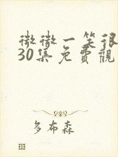 微微一笑很倾城30集免费观看全集