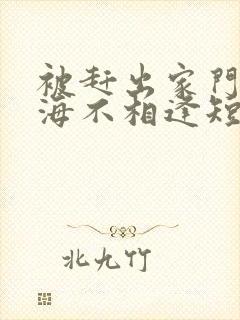 被赶出家门后山海不相逢短剧