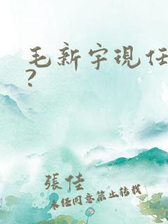 毛新宇现任何职?