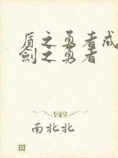 盾之勇者成名录剑之勇者