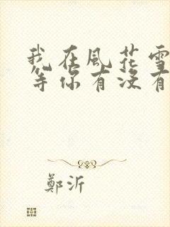 我在风花雪月里等你有没有续集