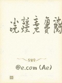 小说主角沈煜谢晚烟免费阅读