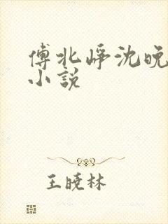 傅北峥沈晚吟的小说