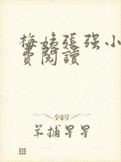 梅姨张强小说免费阅读