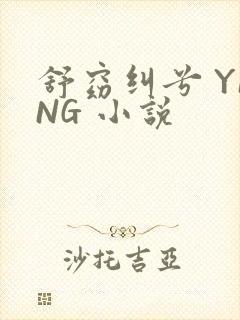 舒窈纠兮 YING 小说