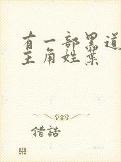 有一部黑道小说主角姓叶