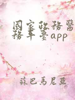 国家政务医保服务平台app