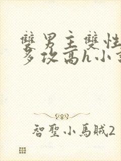 双男主双性骚受多攻高h小说