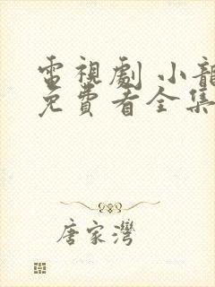 电视剧 小龙人免费看全集