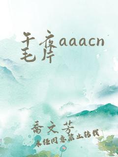 午夜aaacn毛片