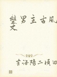 双男主古风生子文