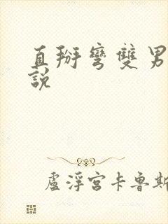 直掰弯双男主小说