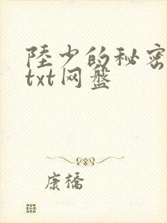 陆少的秘密恋人txt网盘