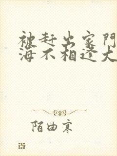 被赶出家门后山海不相逢大结局