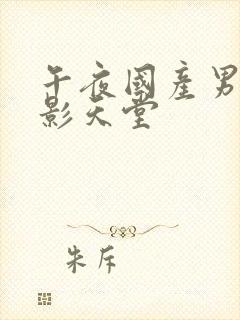 午夜国产男人电影天堂