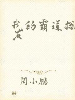 我的霸道总裁男友