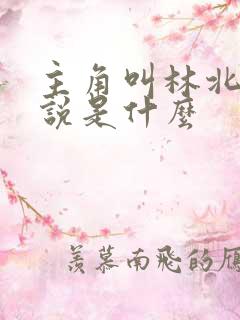主角叫林北的小说是什么