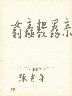 女主把男主囚禁到极致的小说