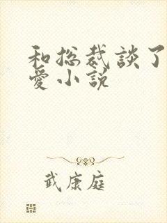 和总裁谈了个恋爱小说