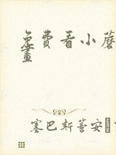 免费看小蘑菇漫画