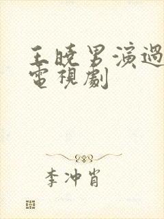 王晓男演过哪些电视剧