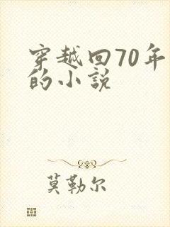 穿越回70年代的小说